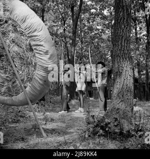 Bear Mountain, New York. Activités interraciales au Camp Fern Rock, où les enfants sont aidés par le Service de camp méthodiste, pratiquant sur le terrain de tir à l'arc. Banque D'Images