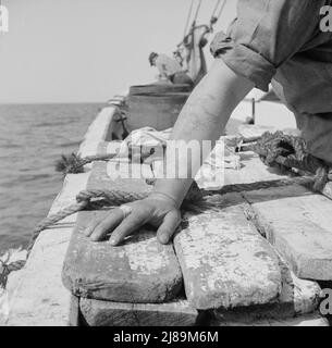 À bord du bateau de pêche Alden à la sortie de Gloucester, Massachusetts. Le bras à embout de tatouage d'un pêcheur. Banque D'Images