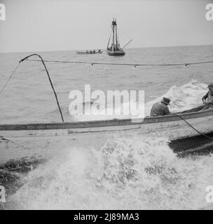 À bord du bateau de pêche Alden à la sortie de Gloucester, Massachusetts. Recherche de maquereau dans les Grands bancs. Banque D'Images