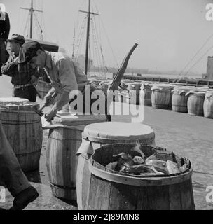 New York, New York. Emballage du poisson dans des barils au marché du poisson de Fulton. Banque D'Images