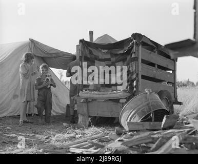 Camp de cueilleurs pendant la récolte des haricots. Oregon, Marion County, West Stayton. Banque D'Images