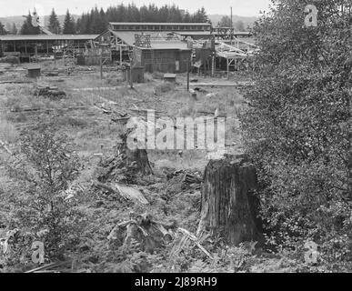 Mumby Lumber Mill, fermé en 1938 après trente-cinq ans d'exploitation. En cours de démontage. WESTERN Washington, Grays Harbour County, Malone, Washington. Banque D'Images