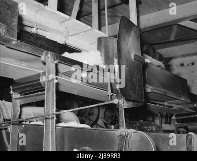 Le coton de la balle est transporté par courroie vers la machine pour la fabrication de battes à coton. Le dispositif de pesage est si sensible qu'il dirige le coton d'une machine à l'autre. Laurel, Mississippi. Banque D'Images