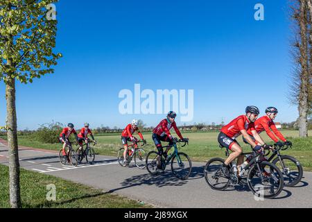 Stevensweert, Limbourg Sud, pays-Bas, 16 avril 2022. Groupe de cyclistes à vélo par une journée ensoleillée sur une route de campagne, un casque et des vêtements rouges et noirs Banque D'Images