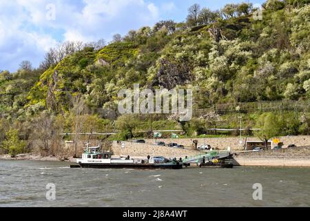 Boppard, Allemagne - avril 2022 : chargement d'un petit traversier à Boppard, qui emmène les piétons et les voitures au-dessus du Rhin Banque D'Images