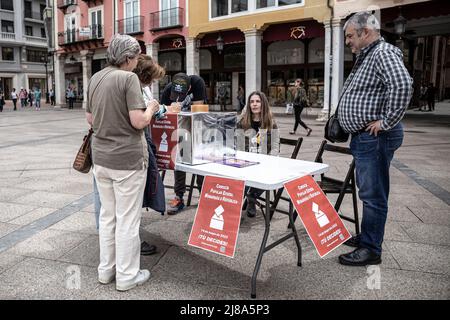 Burgos, Espagne. 14th mai 2022. Un groupe de femmes a exprimé leurs voix dans le référendum populaire pour la monarchie ou le système de la république. Une consultation non contraignante dans l'ensemble de l'Etat en relation avec la préférence de la monarchie ou du système de la république avec l'objectif d'ouvrir un débat public et de traiter d'une question qui est reportée au fil du temps, a été menée par la monarchie ou la plate-forme de consultation populaire de l'Etat de la République. (Photo de Jorge Contreras Soto/SOPA Images/Sipa USA) crédit: SIPA USA/Alay Live News Banque D'Images