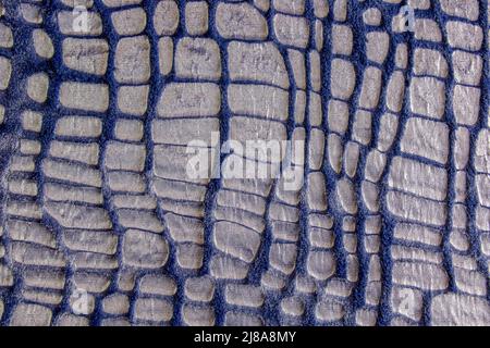 Vue de dessus texture fourrure. Arrière-plan en fourrure bleue. Motif fourrure. Texture de fourrure douce bleu foncé avec un motif. Banque D'Images