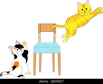 Un chat tabby jouant avec un chat calico: Fond blanc Banque D'Images