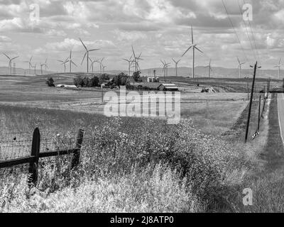 Un paysage noir et blanc. Il s'agit de la centrale éolienne Shiloh à Montezuma Hills, dans le comté de Solano, en Californie. Banque D'Images