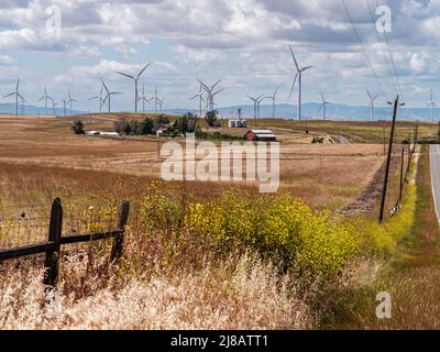 Un paysage d'éoliennes et de terres agricoles. La centrale éolienne Shiloh de Montezuma Hills, dans le comté de Solano en Californie. Banque D'Images