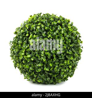 Buisson topologique de boule de buisson artificiel comme réel comme moderne Evergreen décoration écologique pour les intérieurs de maison, centres commerciaux, restaurants. Isolé sur Banque D'Images