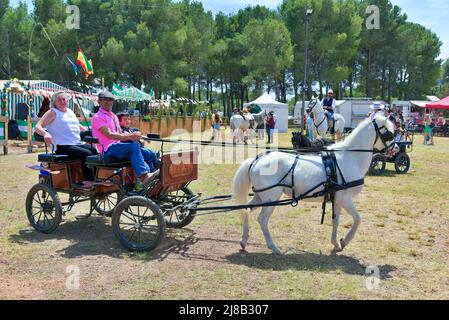 Une famille en calèche et un cheval participent au pèlerinage. L'Association culturelle de l'Estrémadure à Vendrell célèbre le pèlerinage en l'honneur de la Vierge de Guadalupe après deux ans sans pouvoir le faire en raison de l'état de la pandémie. Le pèlerinage est un festival catholique qui consiste à faire un voyage ou un pèlerinage à pied ou en calèches décorées avec des chevaux ou des ânes qui va au sanctuaire ou à l'ermitage d'une vierge ou d'un Saint patron du lieu, normalement situé dans un cadre de campagne ou de montagne. Banque D'Images