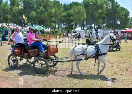 Une famille en calèche et un cheval participent au pèlerinage. L'Association culturelle de l'Estrémadure à Vendrell célèbre le pèlerinage en l'honneur de la Vierge de Guadalupe après deux ans sans pouvoir le faire en raison de l'état de la pandémie. Le pèlerinage est un festival catholique qui consiste à faire un voyage ou un pèlerinage à pied ou en calèches décorées avec des chevaux ou des ânes qui va au sanctuaire ou à l'ermitage d'une vierge ou d'un Saint patron du lieu, normalement situé dans un cadre de campagne ou de montagne. (Photo de Ramon Costa/SOPA Images/Sipa USA) Banque D'Images