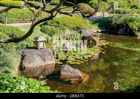 Étang de jardin oriental avec nénuphars et rochers avec reflets encadrés par un membre d'arbre - foyer sélectif Banque D'Images