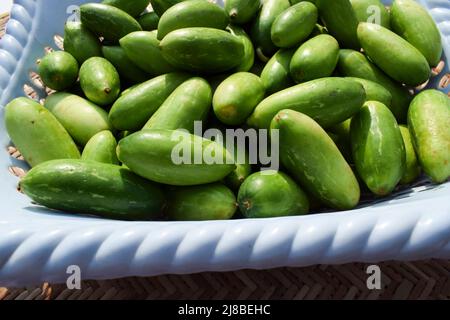 Gourdes Ivy de grande taille dans le panier. Légumes verts authentique de l'Inde Tindora ou de légumes frais biologiques dans le panier. Banque D'Images