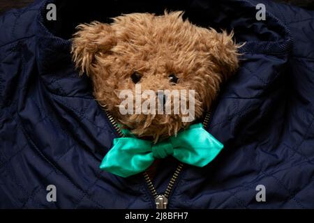 Un ours en peluche marron dans un noeud papillon se trouve dans une veste bleue sous la serrure, la beauté et la mode Banque D'Images