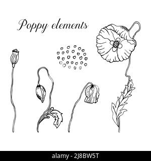 Fleurs de pavot dessinées à la main dans un contour noir sur fond blanc. Illustration botanique du pavot et de ses éléments. Illustration vectorielle en style doodle Illustration de Vecteur