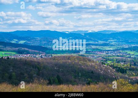 Allemagne, vue panoramique au-dessus des sommets des arbres de schwarzwald paysage de la nature du point de vue d'emmendingen avec vue à feldberg couvert de neige Banque D'Images