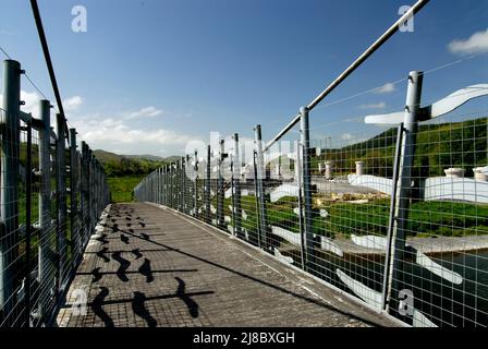 Le pont du millénaire, Machynlleth pays de Galles Royaume-Uni Banque D'Images