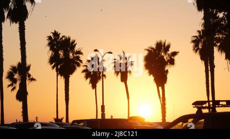 Ciel orange, silhouettes de palmiers sur la plage au coucher du soleil, côte californienne, États-Unis. Parc en bord de mer au coucher du soleil à San Diego, Mission Beach Vacations Resort sur la côte pacifique. Été tropical américain. Banque D'Images