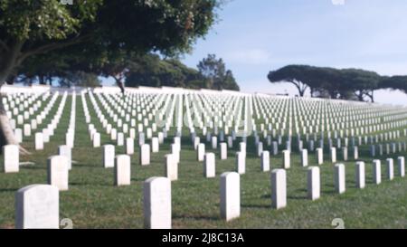 Pierres tombales défocurées, cimetière militaire national américain, cimetière aux États-Unis. Pierres de tête ou pierres tombales, herbe verte. Respect et honneur pour les soldats des forces armées. Les anciens combattants et le jour du souvenir. Banque D'Images