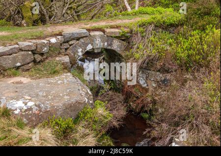 Petit pont au-dessus de Great Hograh Beck à Baysdale, dans le North Yorkshire Banque D'Images