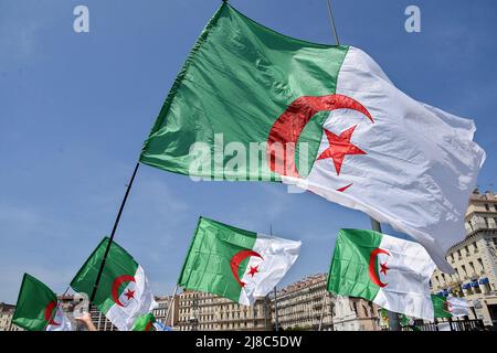 Les manifestants tiennent des drapeaux algériens pendant la manifestation. Des centaines de membres de la diaspora algérienne marchent à Marseille contre la dictature militaire dans leur pays. (Photo de Gerard Bottino / SOPA Images / Sipa USA) Banque D'Images