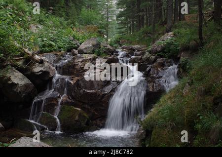 Rivière Skakavitsa, montagne de Rila, Bulgarie Banque D'Images