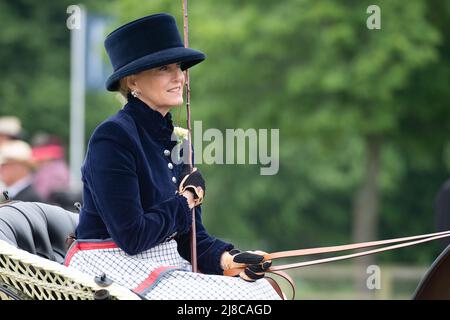 Windsor, Berkshire, Royaume-Uni. 15th mai 2022. Sophie, comtesse de Wessex, conduisait une calèche dans le champagne Laurent-Perrier rencontre de la British Driving Society, retour de Drive aujourd'hui dans le domaine privé du château de Windsor. Sa fille Lady Louise Windsor conduisait également une autre voiture appartenait à son défunt grand-père, le duc d'Édimbourg. Crédit : Maureen McLean/Alay Live News Banque D'Images