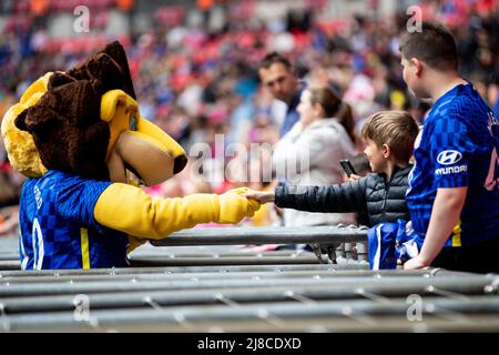 Chelsea Mascot Stamford serre la main avec un jeune supporter de Chelsea avant le match de finale de la coupe Vitality Womens FA entre Manchester City et Chelsea au stade Wembley à Londres, en Angleterre. Liam Asman/SPP Banque D'Images