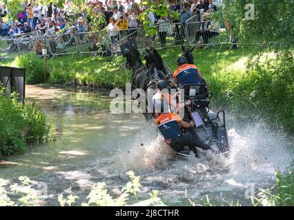 Windsor Berkshire Royaume-Uni 14 mai 2022 Ijsbrand Chardon NED au Splash in the Land Rover International Grand Prix CAIO4 crédit pour le marathon de course à cheval à quatre mains. Gary Blake/Alay Live News Banque D'Images