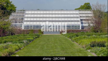 New Bicentenary Glasshouse à RHS Wisley, Wisley Gardens, Wisley, Surrey, Angleterre, ROYAUME-UNI. Banque D'Images