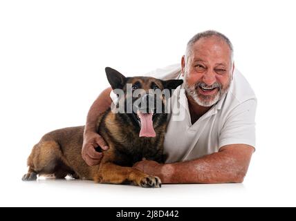 berger belge et homme devant un fond blanc Banque D'Images