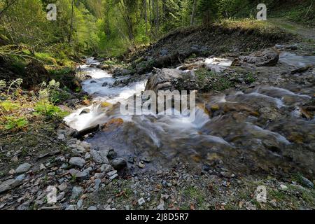 Un ruisseau de montagne dans le parc national de Gesäuse, Styrie, Autriche Banque D'Images