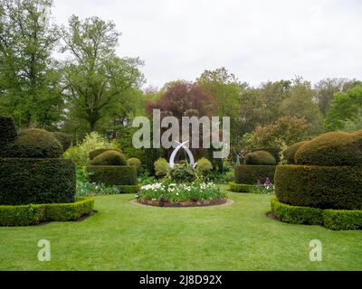 Chenies Manor Garden. Le jardin topiaire abritant des oiseaux de Yew, lit de fleurs circulaire avec des tulipes blanches et une sculpture en lierre.scène paisible et symétrique. Banque D'Images