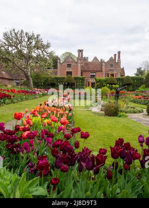Chenies Manor Garden.vue portrait du magnifique jardin en contrebas avec de nombreuses variétés de tulipes. Banque D'Images