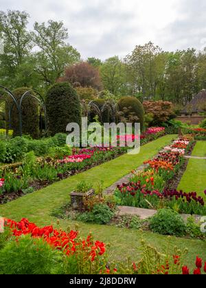 Chenies Manor Garden.vue portrait du magnifique jardin en contrebas avec de nombreuses variétés de tulipes. Printemps 2022 Banque D'Images