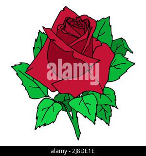 contour rouge rose fleur gros plan, motif floral, graphique couleur dessin, art Banque D'Images