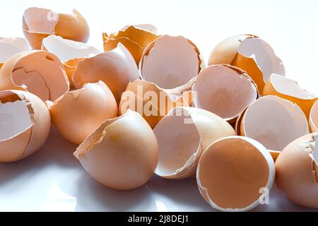 une pile de coquilles d'œufs brunes cassées en gros plan, des œufs vides sans contenu protéique des ordures après la cuisson sur fond blanc. Banque D'Images