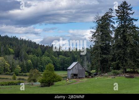 Un bâtiment agricole et des animaux au parc provincial de Rockle, sur l'île Salt Spring, en Colombie-Britannique, au Canada. Banque D'Images