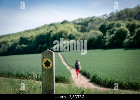 Panneau de sentier public dans la campagne avec un randonneur sur le chemin. Banque D'Images