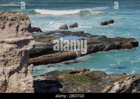 Vue côtière des Rocheuses depuis le sentier Bluff dans le parc national Montaña de Oro. San Luis Obispo Comté, Californie , États-Unis Banque D'Images
