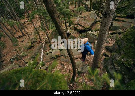Vue de dessus des touristes faisant du trekking dans les bois Banque D'Images