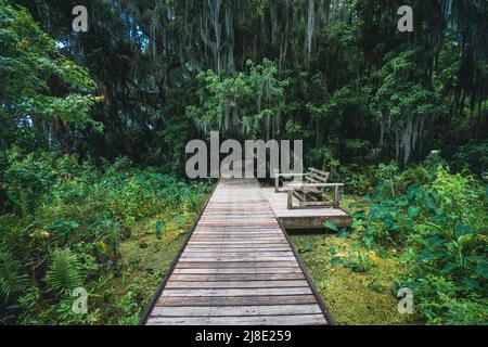 Trimble Park un parc au bord du lac avec sentiers et promenade à Mount Dora, Floride Banque D'Images