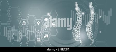 Organe interne humain recherche et rétablissement sur la maladie des vertèbres du rachis. Palette de modèles grise, espace de copie pour le texte. Banque D'Images