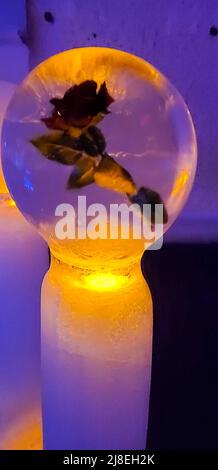 Délicate sculpture de glace dans un globe de glace exposée au musée de glace de Chena Hot Springs Resort. À l'extérieur de Fairbanks, AK. Banque D'Images