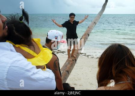 Touristes posant pour des photos sur le palmier, Bulalog Beach, Boracay, Philippines. Banque D'Images