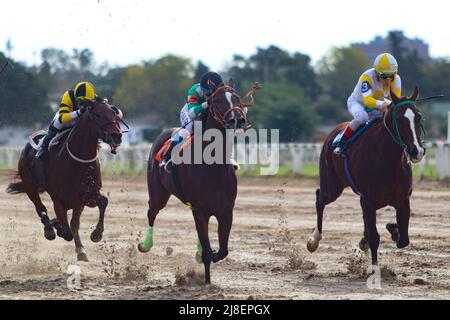 BUENOS AIRES: 13.05.2022 courses hippiques à l'Hippodrome de Palerme, ouvert en 1876 et toujours actif avec plus de 10 courses par jour Banque D'Images