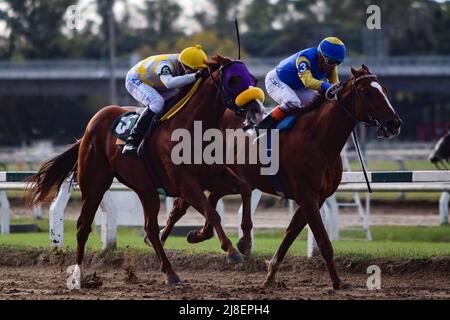 BUENOS AIRES: 13.05.2022 courses hippiques à l'Hippodrome de Palerme, ouvert en 1876 et toujours actif avec plus de 10 courses par jour Banque D'Images