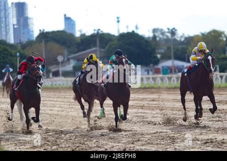 BUENOS AIRES: 13.05.2022 courses hippiques à l'Hippodrome de Palerme, ouvert en 1876 et toujours actif avec plus de 10 courses par jour Banque D'Images